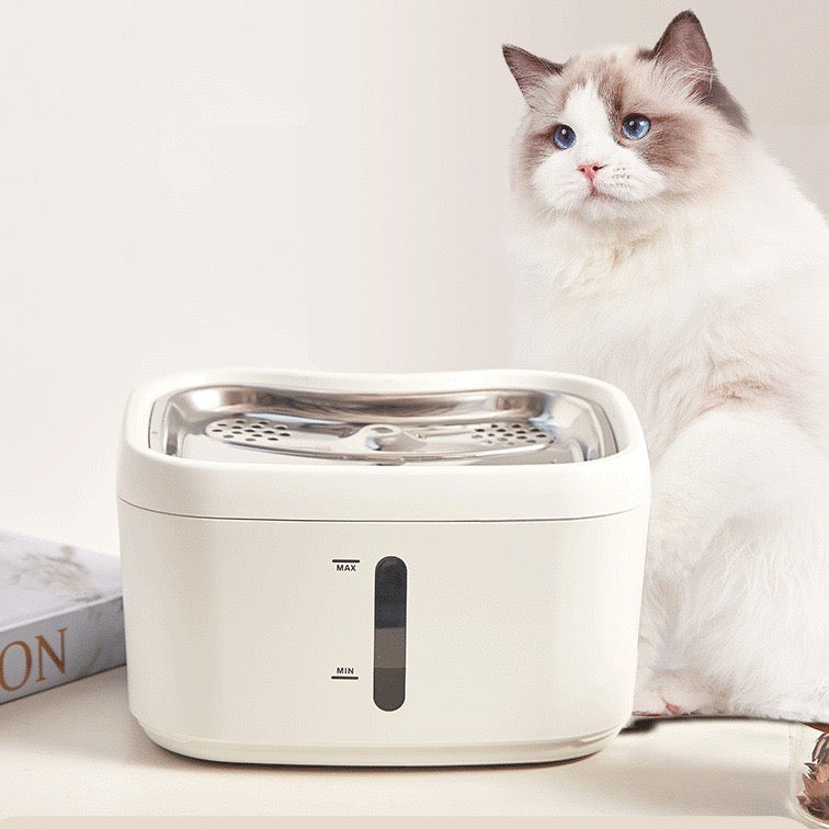 Fontaine à eau connecté pour animaux - Animelia Animelia