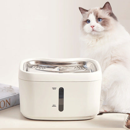 Fontaine à eau connecté pour animaux - Animelia Animelia