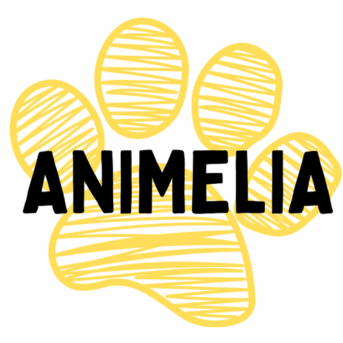 Animelia