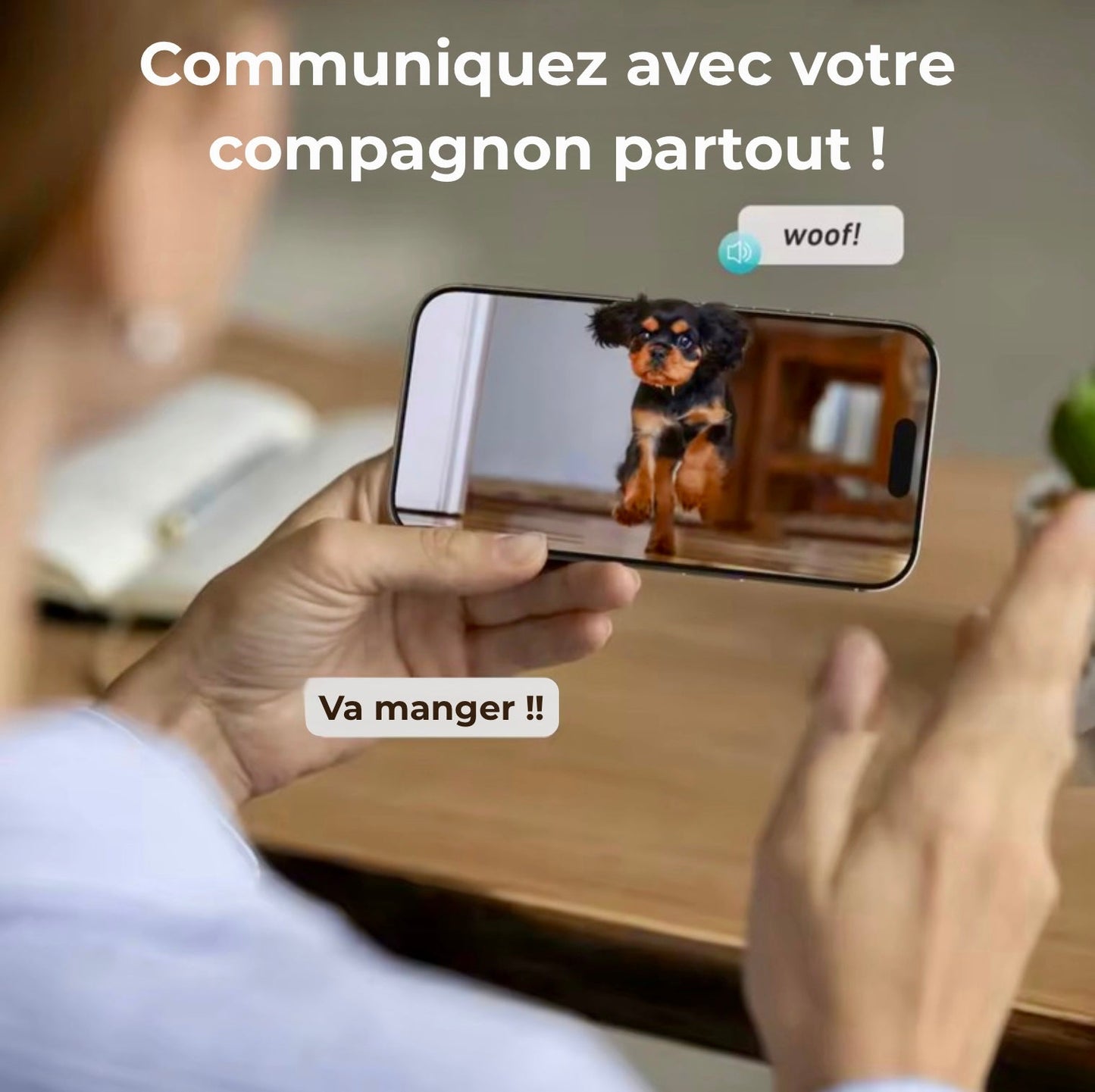 Distributeur de croquettes connecté Grande capacité - Animelia Animelia