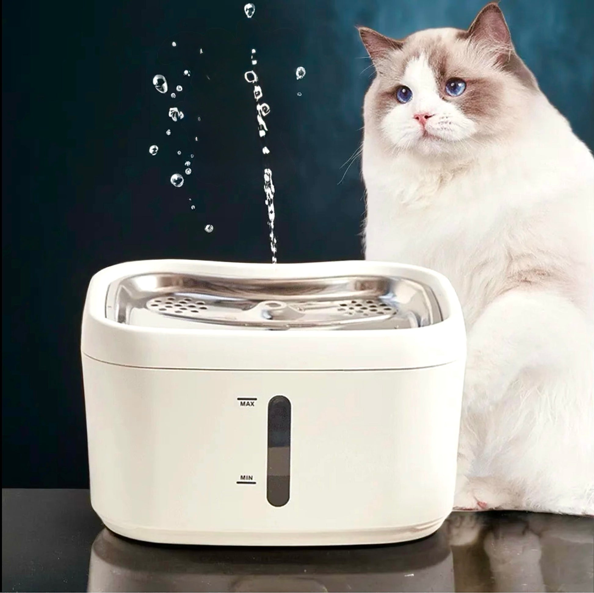 Pack Alimentation - Animelia Animelia