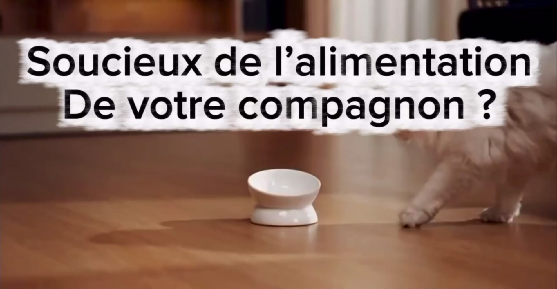 Charger la vidéo : 